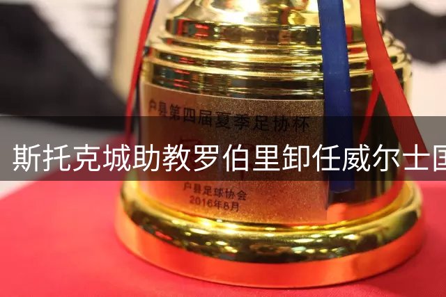 斯托克城助教罗伯里卸任威尔士国家队职务
